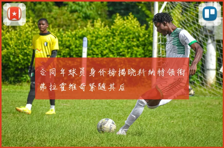 合同年球员身价榜揭晓科纳特领衔弗拉霍维奇紧随其后